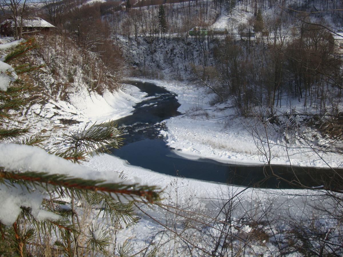 Котедж Гірський Jaremče Exteriér fotografie