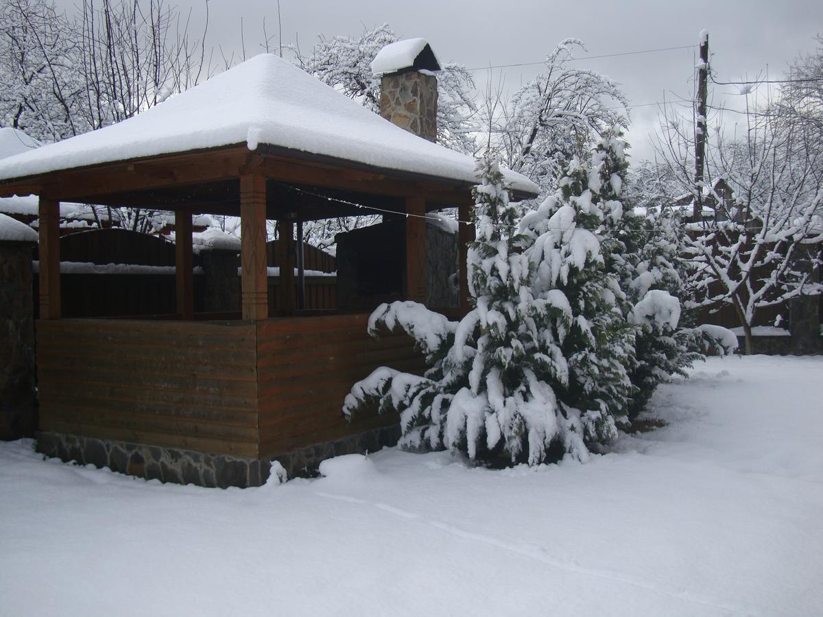 Котедж Гірський Jaremče Exteriér fotografie